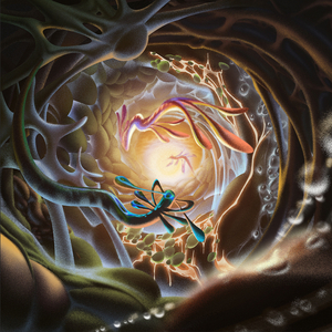 亚洲白袜淫荡男自慰射精
